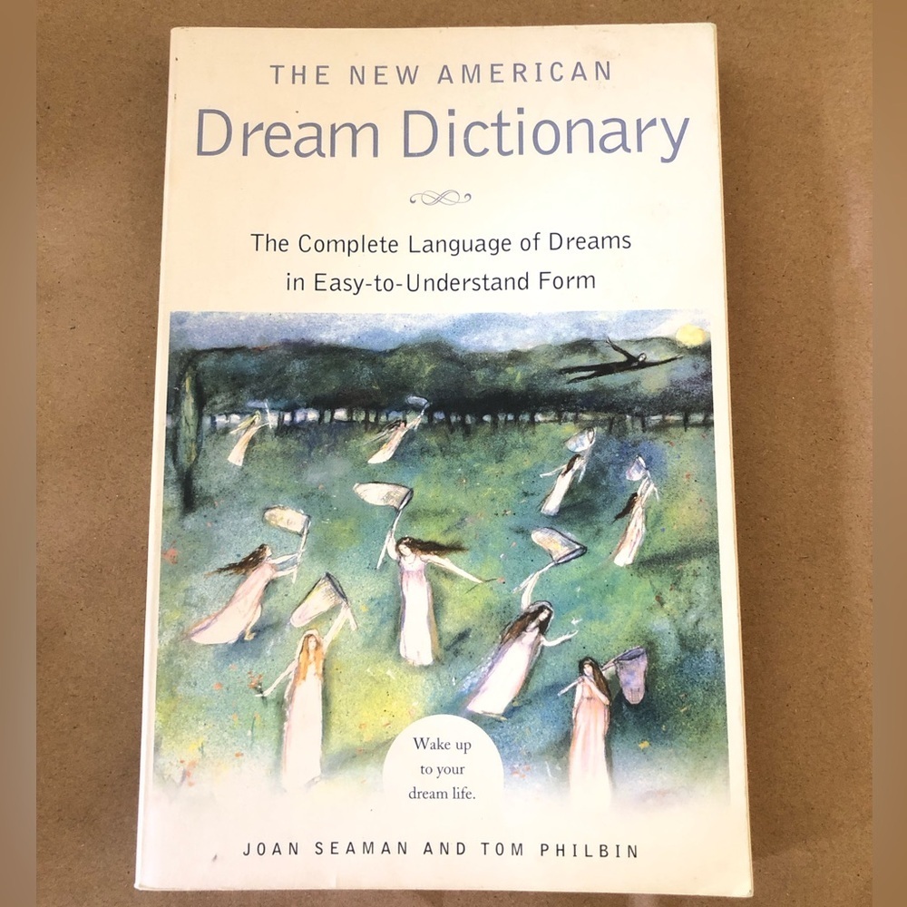The New American Dream Dictionary Soft Cover